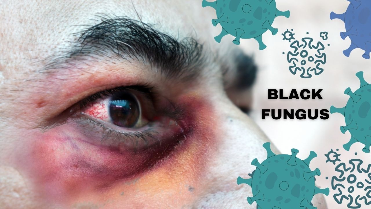 Know About Black Fungus