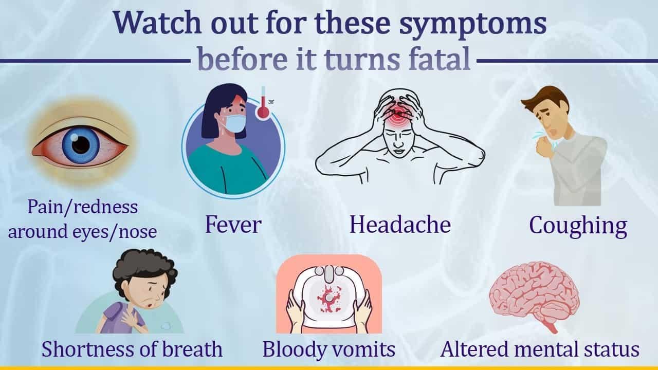 all-about-black-fungus-mucormycosis-symptoms-cure-do-s-and-dont-s